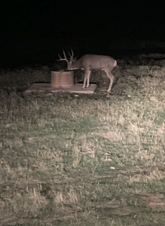 4-Night Stay with Hunting | Elk or Deer