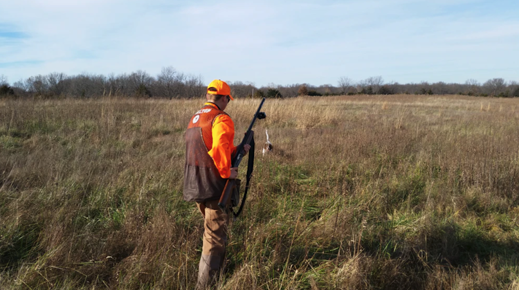 Full-Day Bird Hunt
