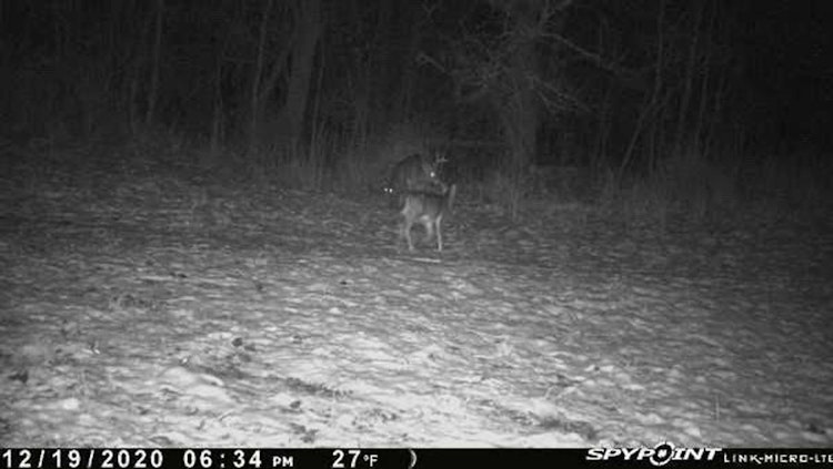 Archery Deer Hunt. November 22 - 29