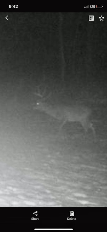 Archery Deer Hunt. November 22 - 29