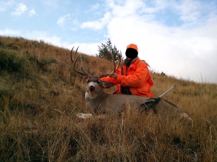 Deer or Antelope or Turkey Hunt
