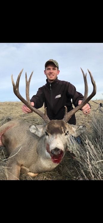 Hunt Montana's New 390 Mule Deer Rifle