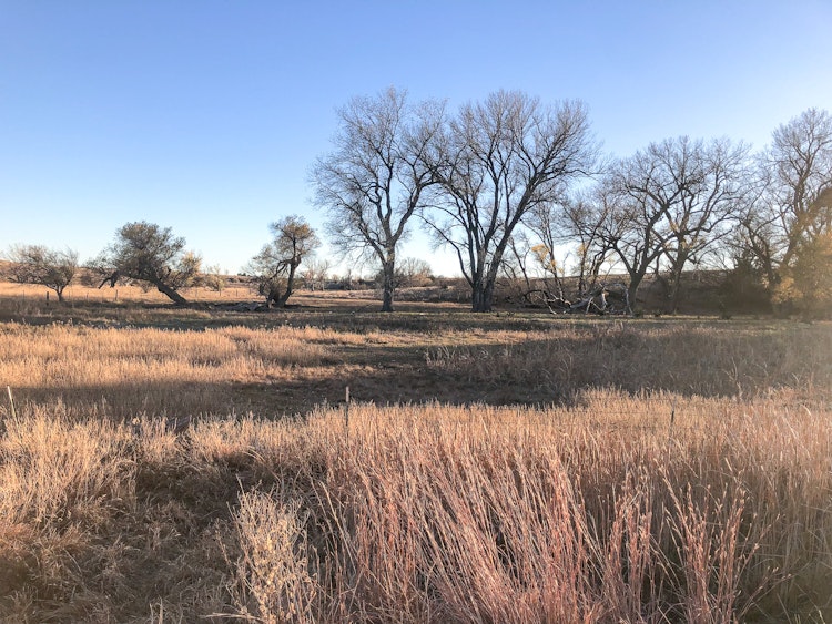 Spring Turkey Hunt (Kansas Residents Only)