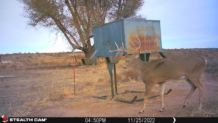 6-Day Deer Hunt