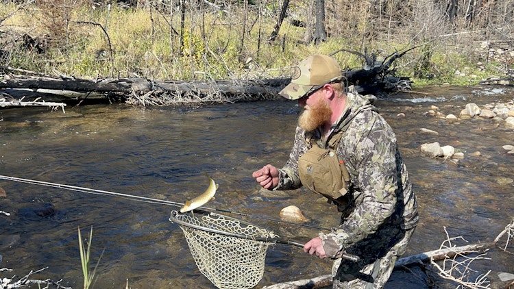 Upper Birch Creek Trout Fishing