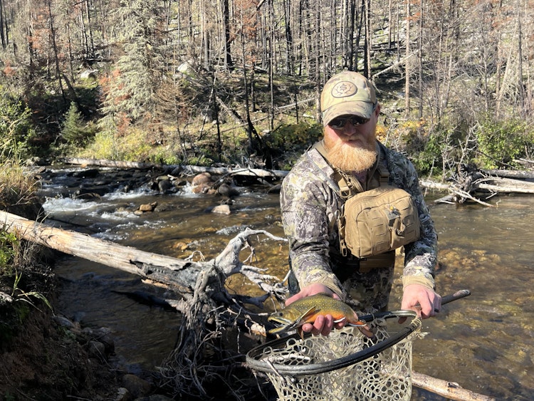 Upper Birch Creek Trout Fishing