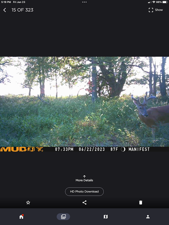 Semi-Guided Whitetail Hunt