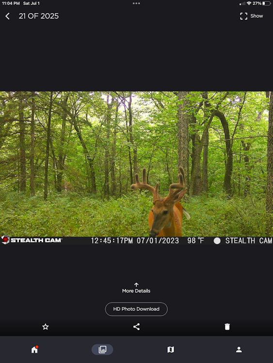 All-Inclusive Fully-Guided Hunt