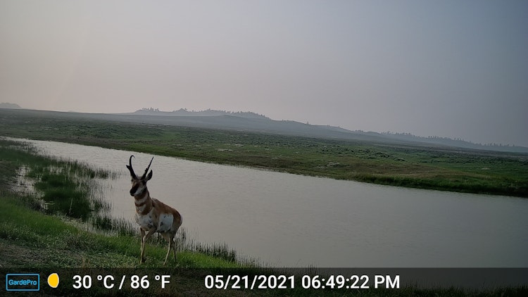3-Day Archery Antelope Hunt