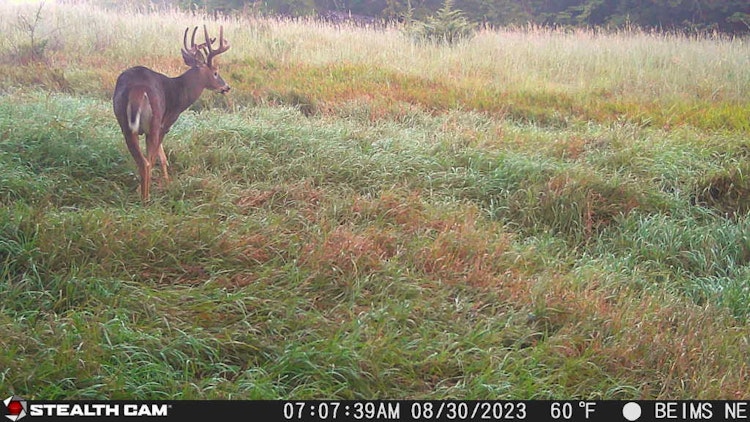 Archery or Muzzleloader Whitetail Hunt