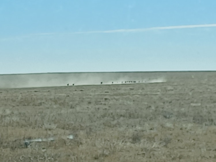 Pronghorn hunt with additional Guest