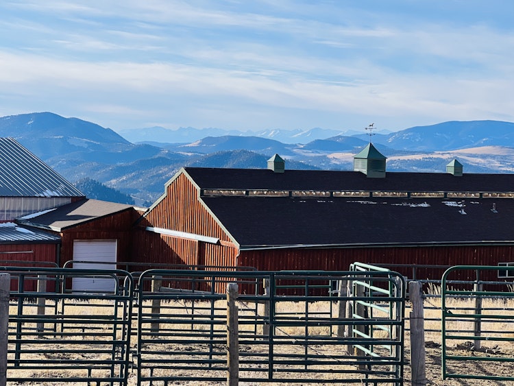 Colorado Ranch & Nature Experiences