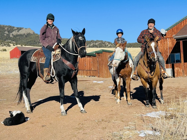 Horse Boarding and Riding Experiences