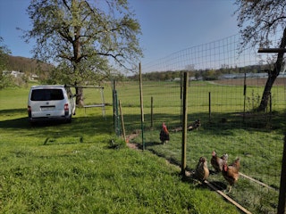 Camp juste à côté de l'enclos des poules