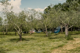 Immagine del campeggio