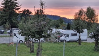 Evening atmosphere in the direction of the north. Camp directly at the enclosure.