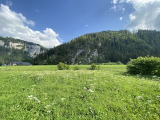 vue imprenable sur les montagnes (Hirschfluh et Guggerä)