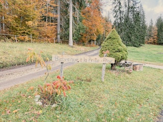 Le sentier qui mène en travers du forêt jusqu'à la clairière. La ferme se trouve à droite. 