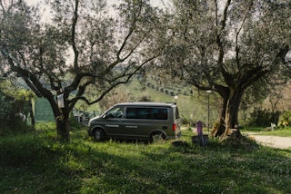 Im Schatten der Olivenbäume