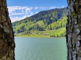 View over the Sihlsee...behind the Ahornweid...