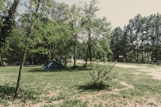 Bild des Camps