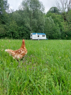 This is our caravan in which you can spend the nights