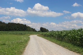 La strada sterrata è la strada di accesso alla fattoria ed è molto poco utilizzata.