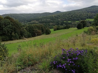 View into the valley