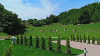 The nature surrounding the agricamp.