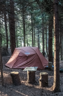 ein im Wald von Placat aufgeschlagenes Zelt
