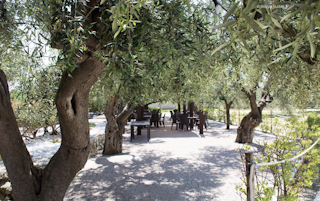 Gemeinschaftsraum im Schatten der Olivenbäume