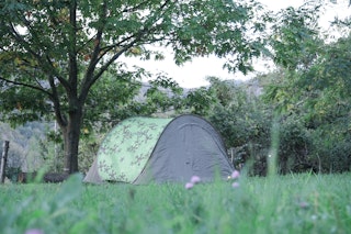 The lawn where tents can be pitched