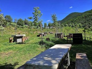 The picnic area of the restaurant