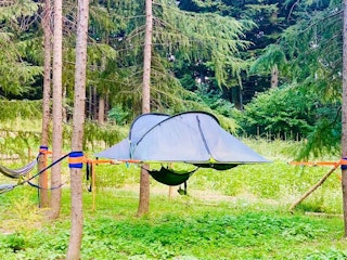 The tents hanging in the woods