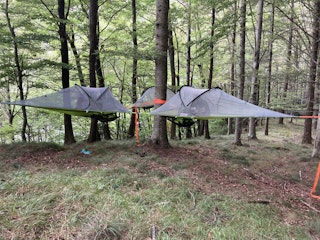 Vous pouvez planter votre tente où vous le souhaitez dans la forêt.