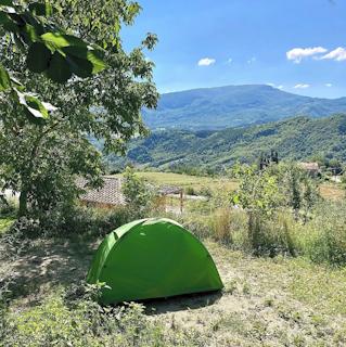 Your tent space surrounded by nature