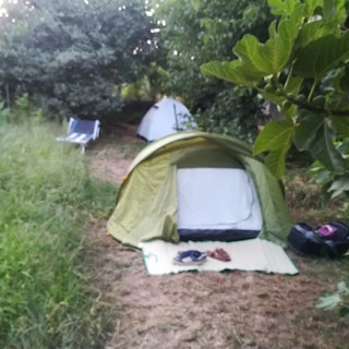 Des zones ombragées pour les tentes