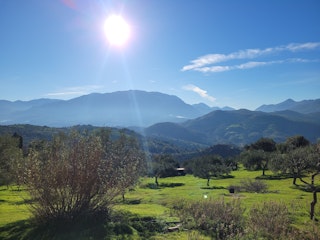 Vista sulle montagne,Oliveto
