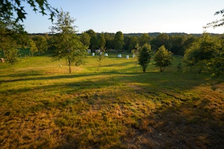 View of the camp