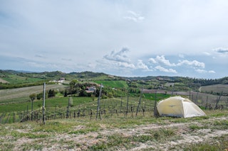 You will be on a wonderful hillside with 360° views of our vineyards