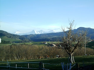Vue sur les montagnes connues, Eiger Mönch et Jungfrau