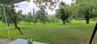The view of the orchard