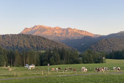 Bauernhof-Camp Luzern