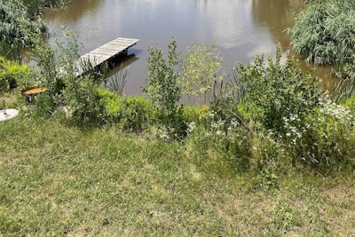 Wilde Heimat 2: Natur pur am Teich